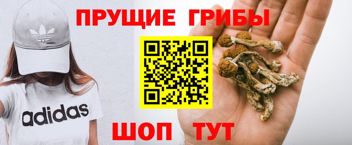 Трёхгорный  Галлюциногенные грибы прущие грибы  Вход с VPN 